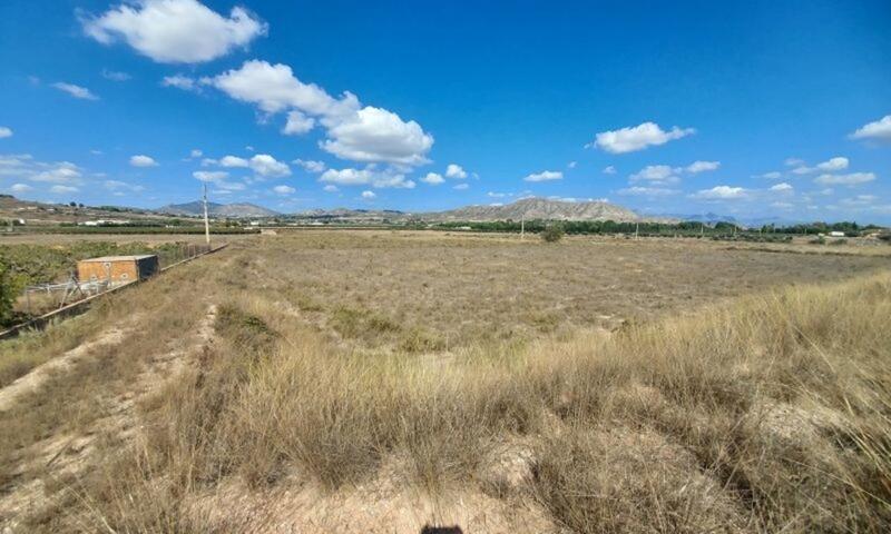 Land for sale in Hondon de las Nieves, Alicante