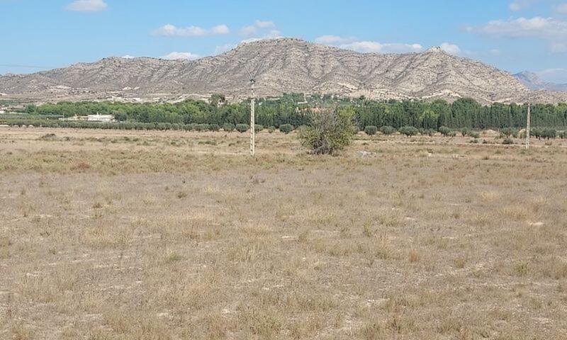 Land for sale