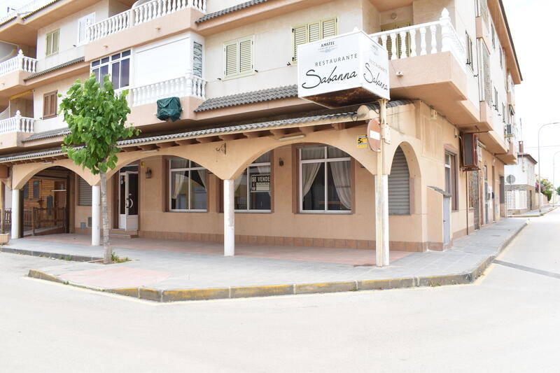 Commercial Property for sale in Pilar de la Horadada, Alicante