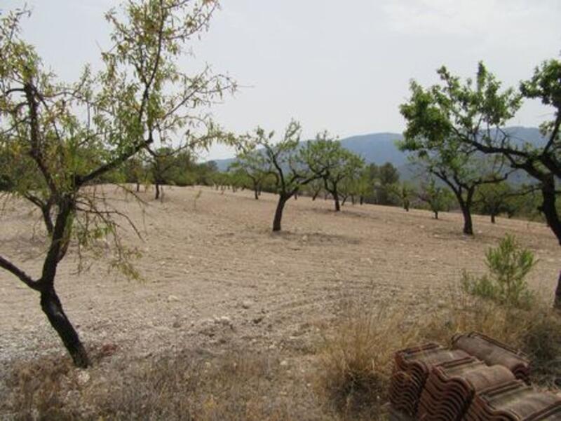 Terrenos en venta