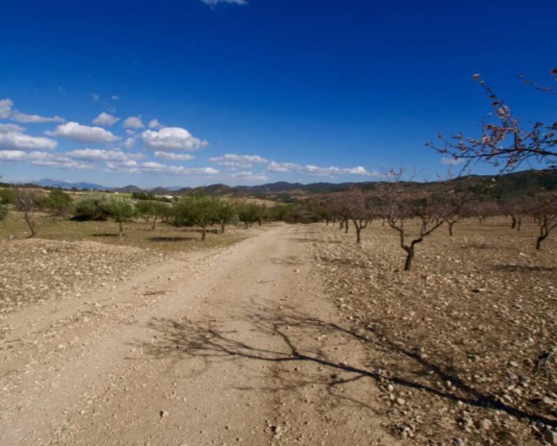 Land for sale in Murcia, Murcia
