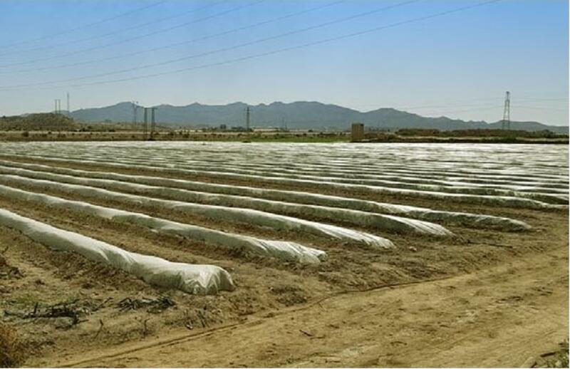 Land for sale in Cuevas del Almanzora, Almería