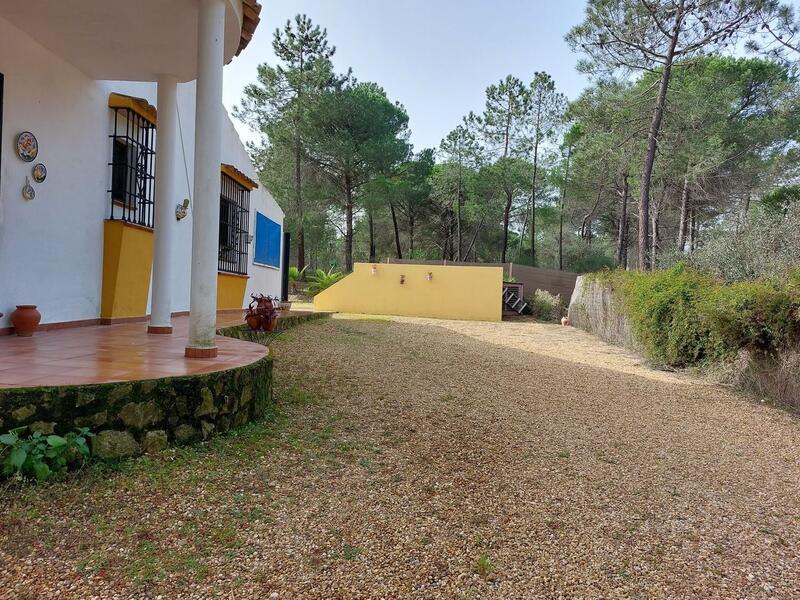 3 Cuarto Casa de Campo en venta