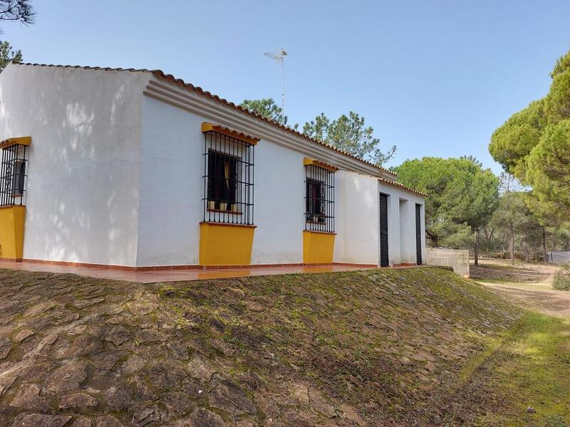 3 Cuarto Casa de Campo en venta