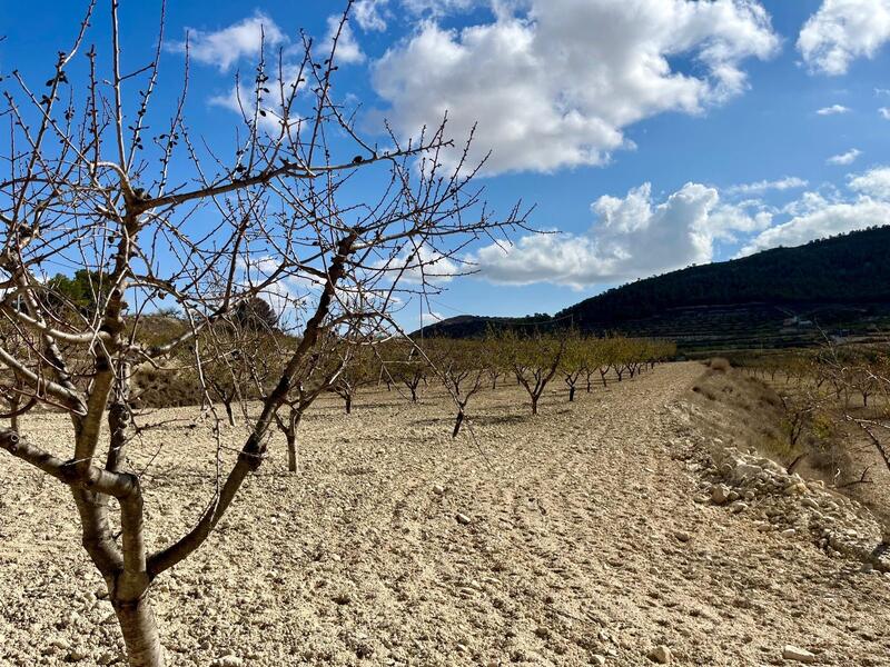 Land for sale Land for sale