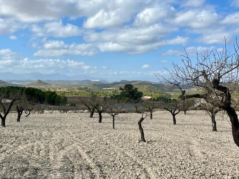 Land for sale Land for sale