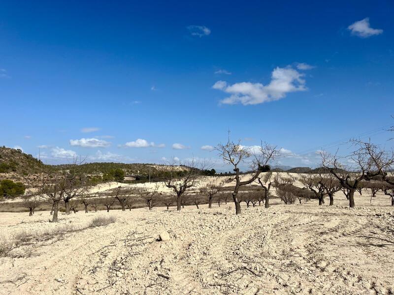 Land for sale Land for sale