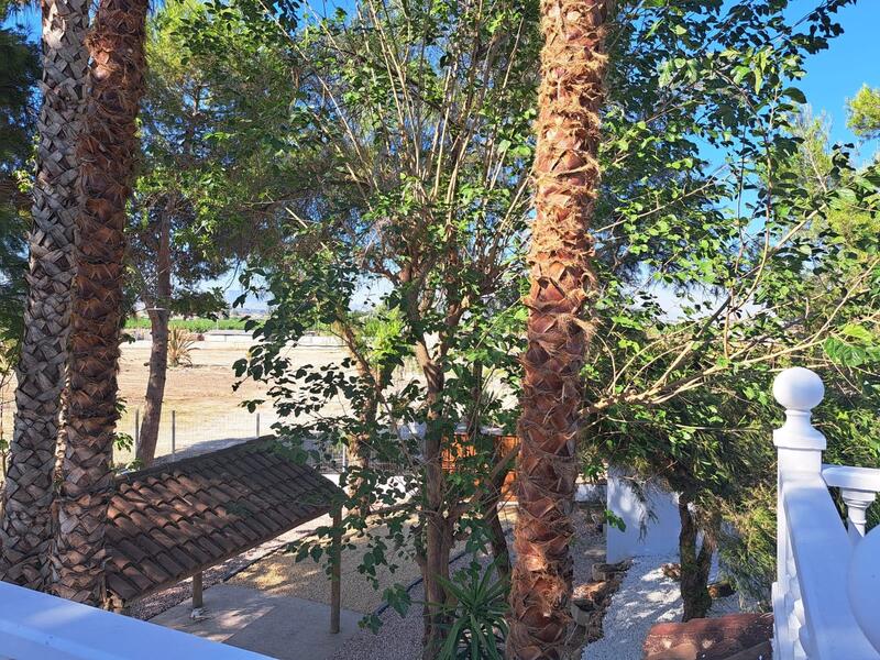 5 bedroom Cave House for sale