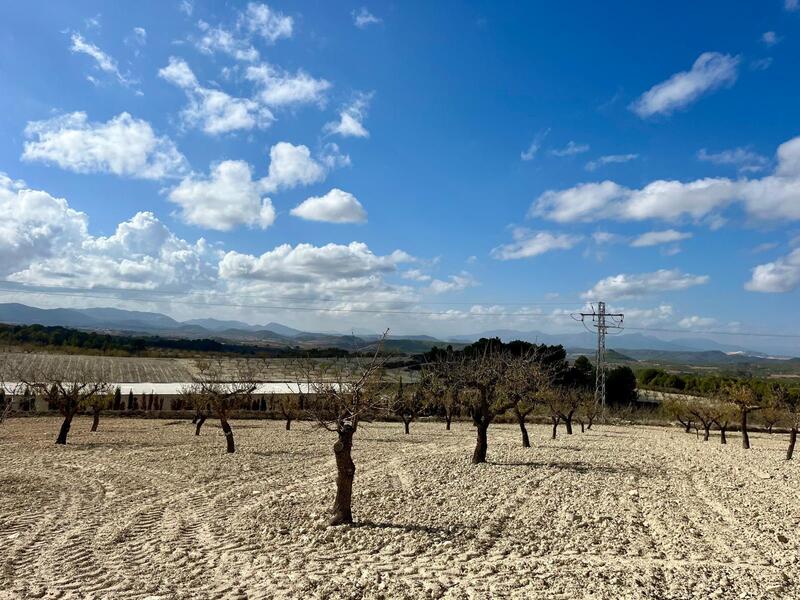 Land for sale Land for sale