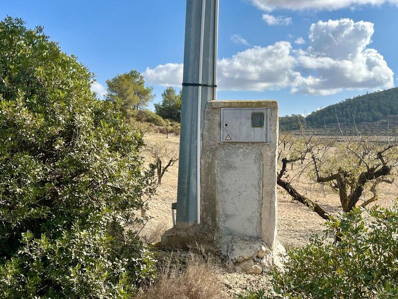 Land for sale Land for sale