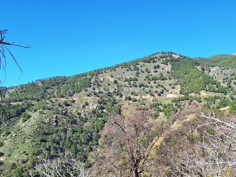 3 soverom Herregård til salgs 3 soverom Herregård til salgs