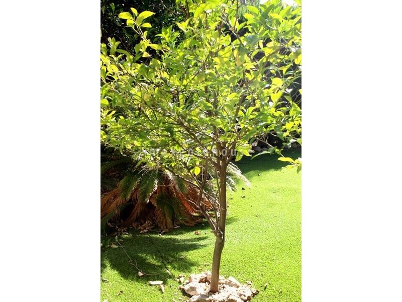 4 Schlafzimmer Villa zu verkaufen 4 Schlafzimmer Villa zu verkaufen