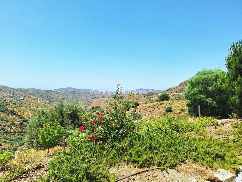 4 Cuarto Villa en venta