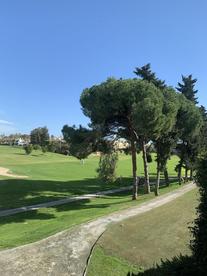 Villa à vendre dans Guadalmina Alta, Málaga