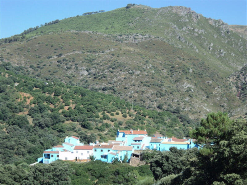 8 bedroom Commercial Property for sale