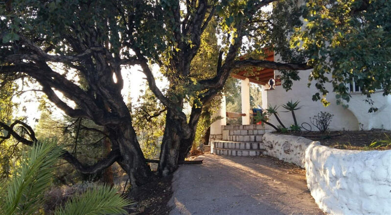 6 soveværelse Villa til salg