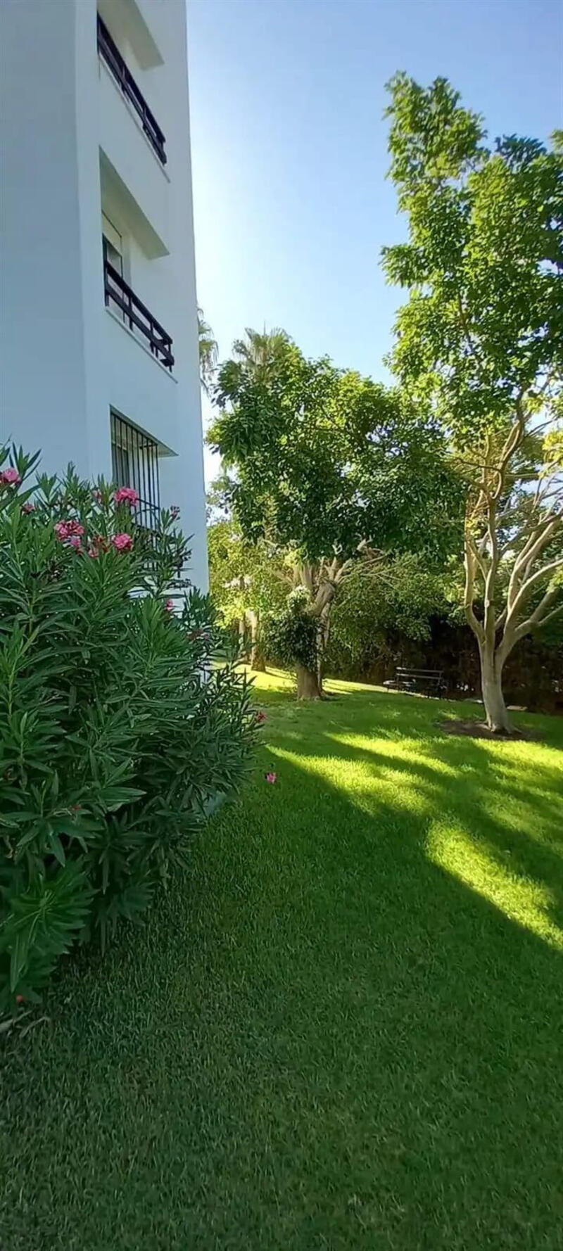 1 chambre Appartement à vendre
