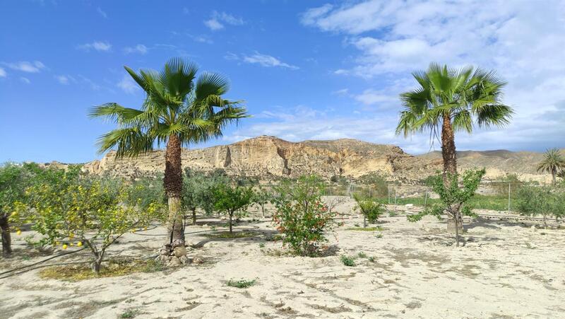 земля продается в Cuevas del Almanzora, Almería