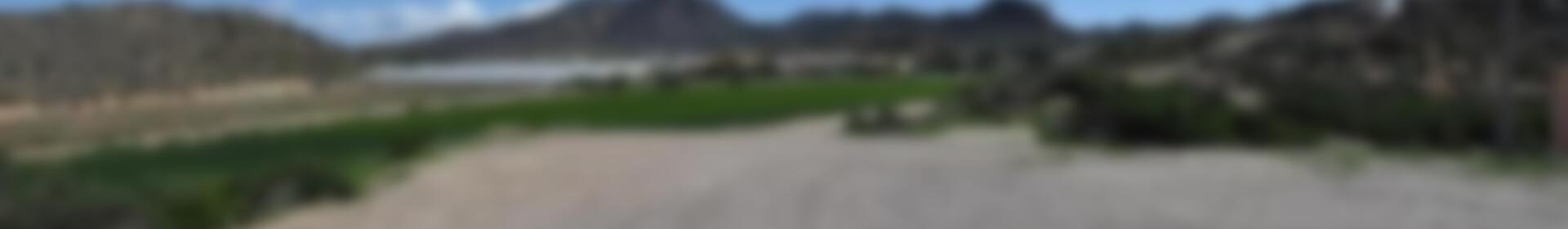 Terrenos en venta