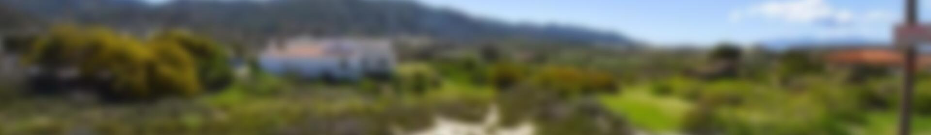Terrenos en venta