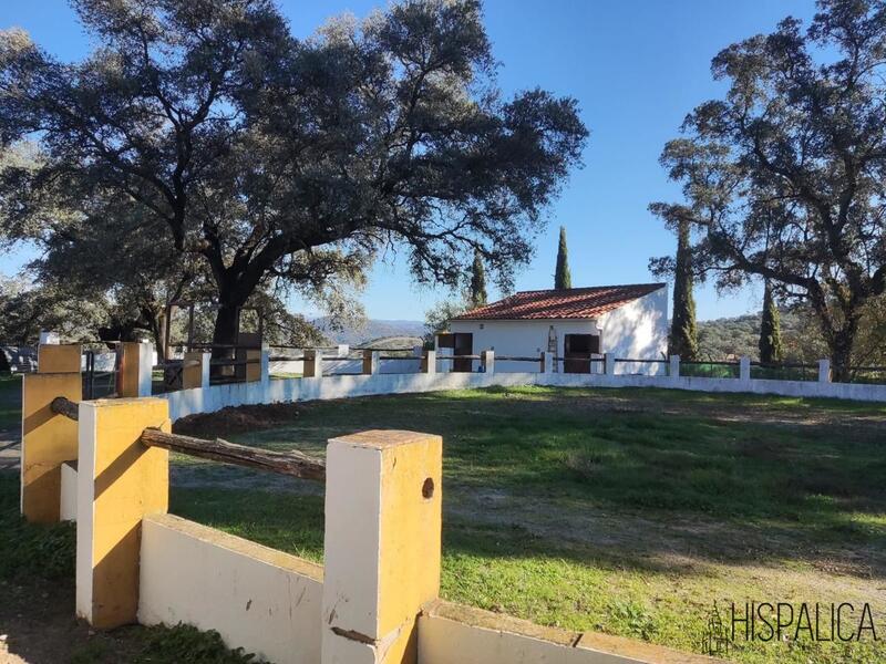 6 Cuarto Casa de Campo en venta