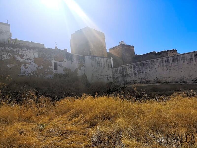 Terrenos en venta