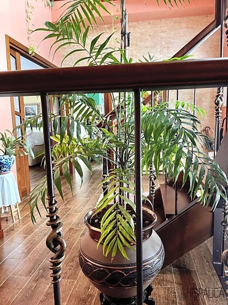 4 Cuarto Villa en venta