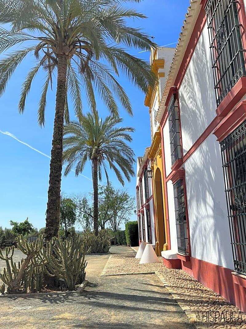 20 Cuarto Casa de Campo en venta