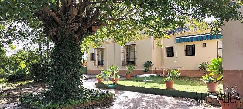 Appartement Te koop in Olivares, Sevilla