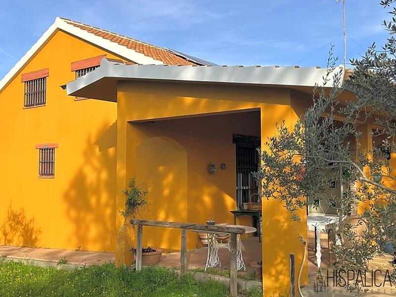 Country House for sale in La Palma del Condado, Huelva