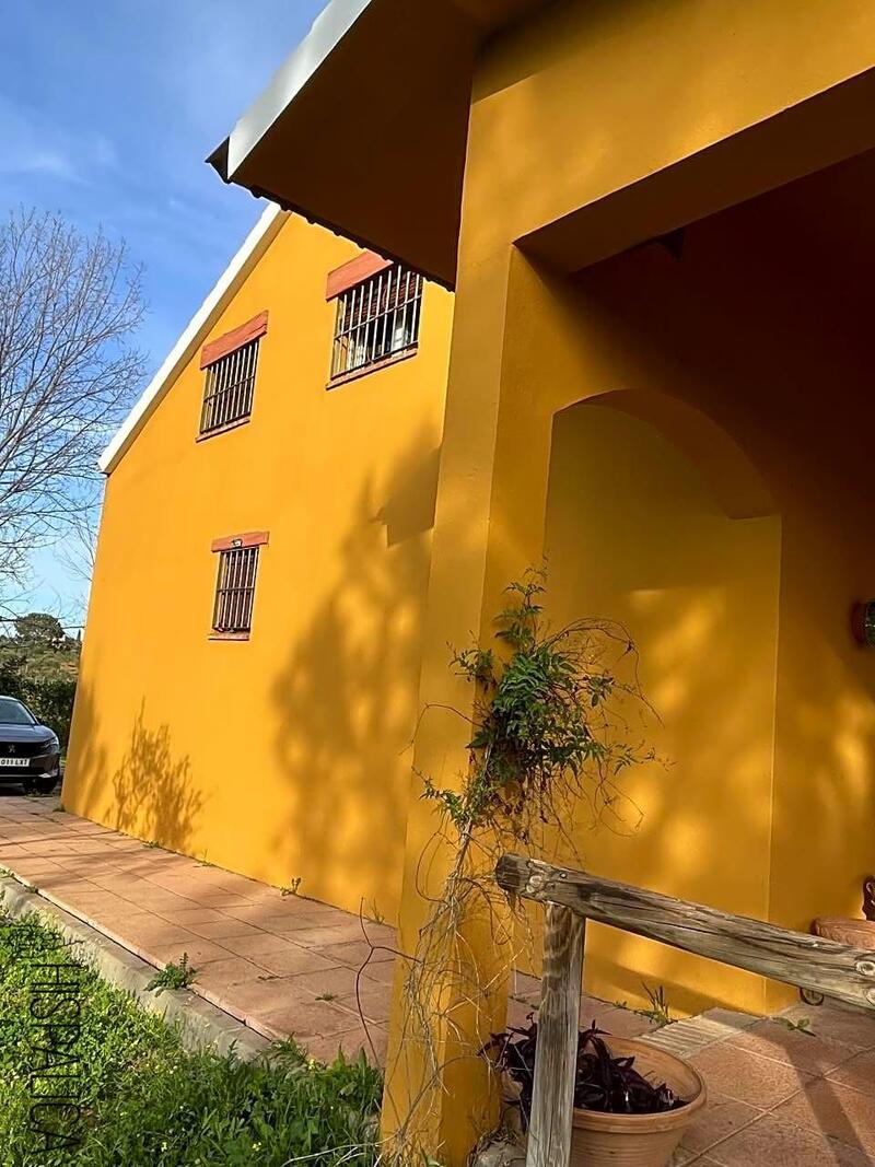 3 Cuarto Casa de Campo en venta