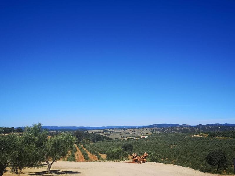 Landa till salu i Villanueva del Rio y Minas, Sevilla