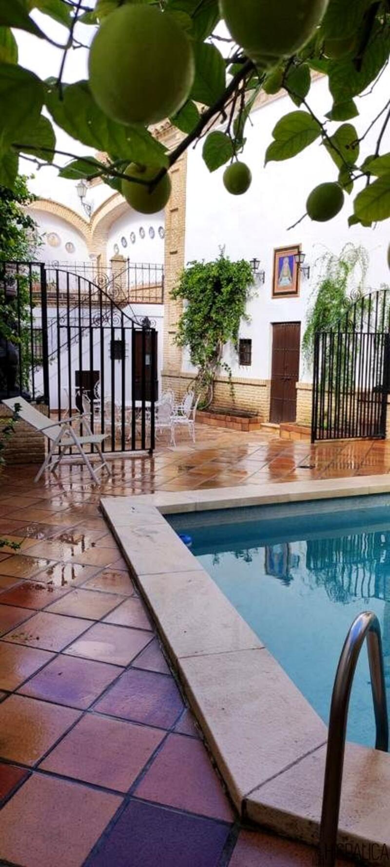 Villa en venta en Ecija, Sevilla