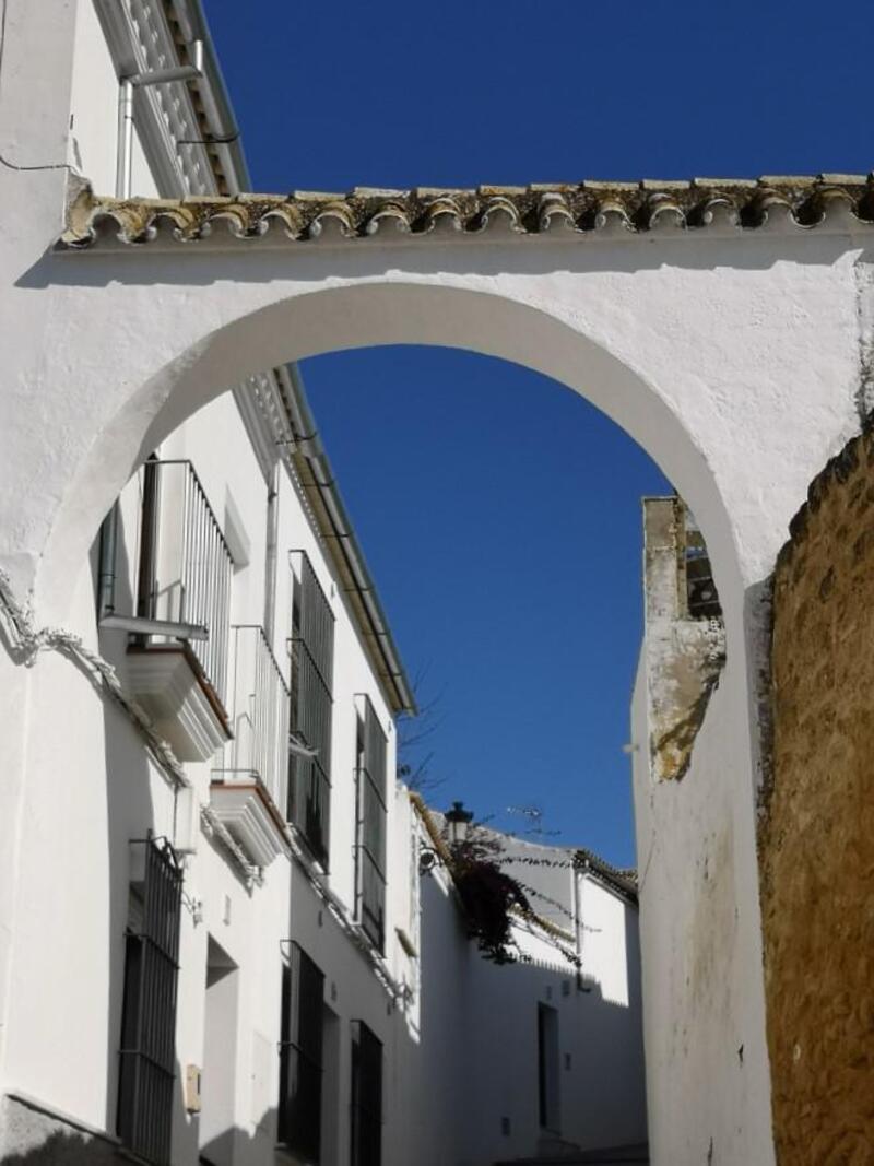 вилла продается в Osuna, Sevilla