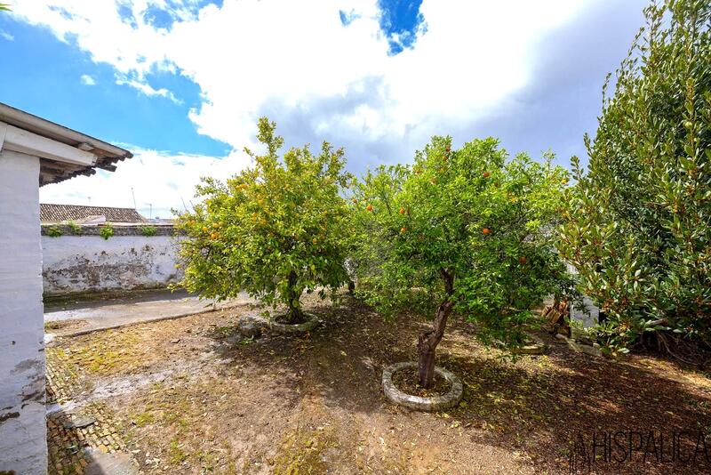 7 bedroom Townhouse for sale