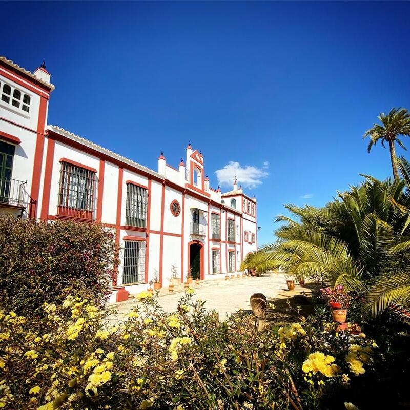 Villa for sale in Moron de la Frontera, Sevilla