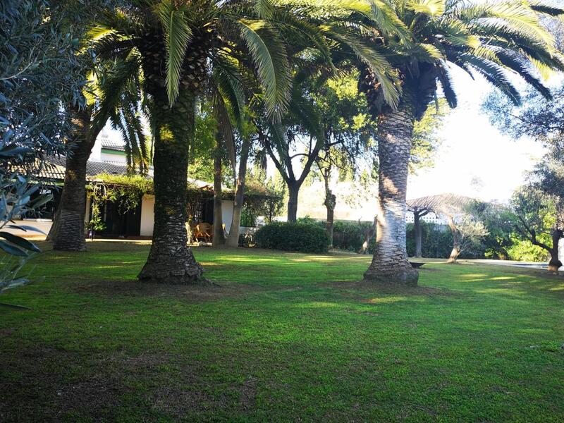 7 Cuarto Villa en venta