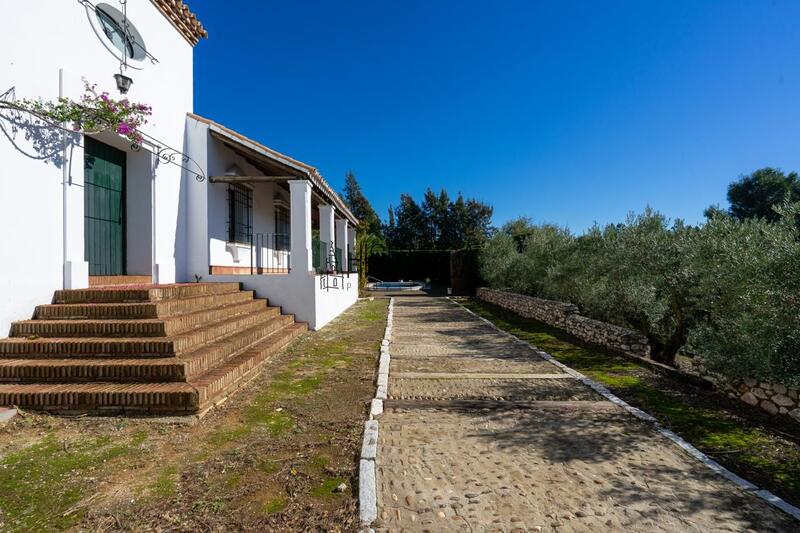 3 soveværelse Villa til salg 3 soveværelse Villa til salg