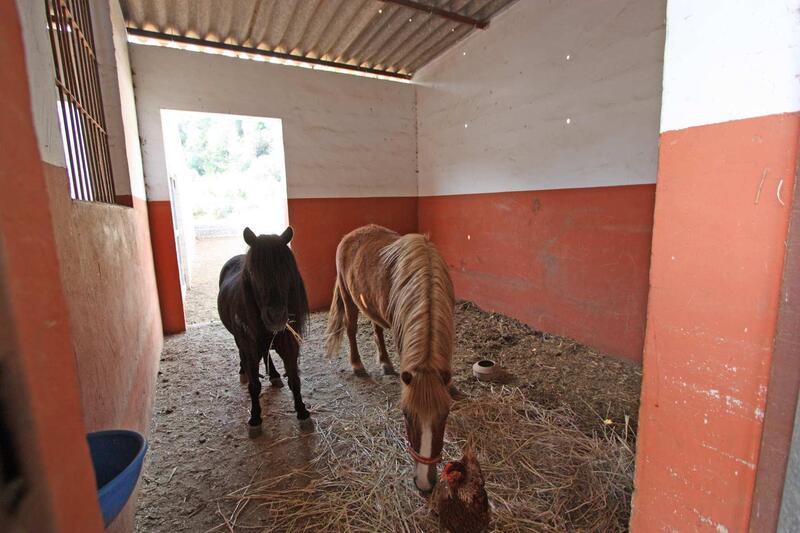 1 slaapkamer Landhuis Te koop