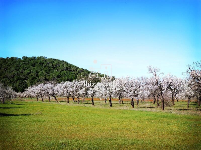 Country House for sale