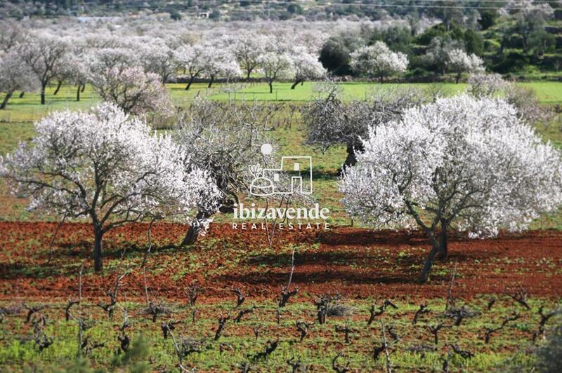 Country House for sale