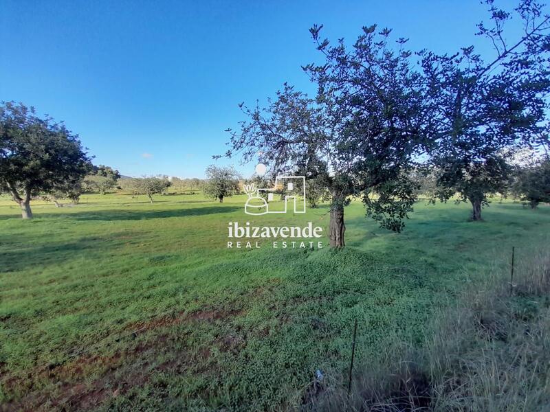Country House for sale