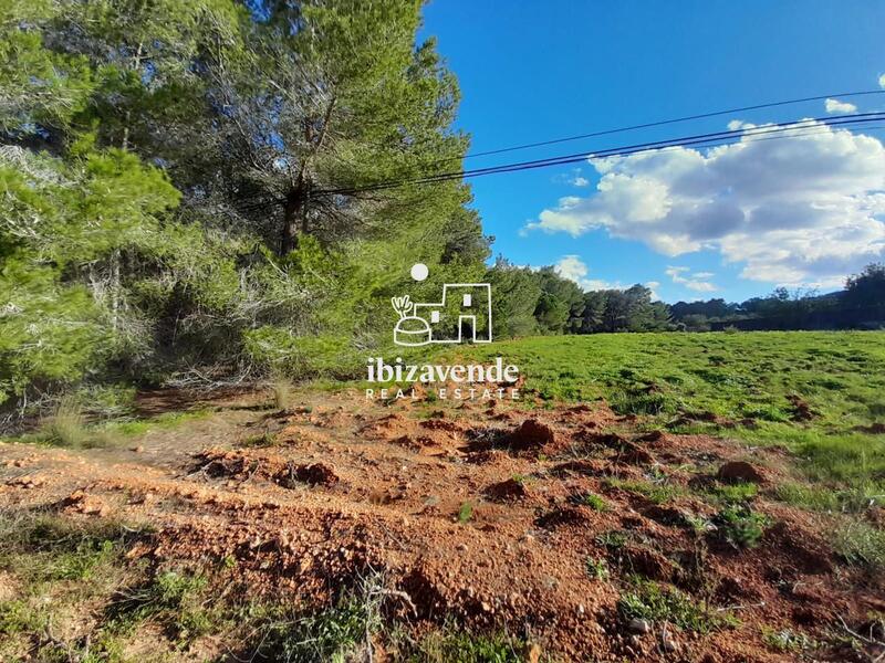 Country House for sale