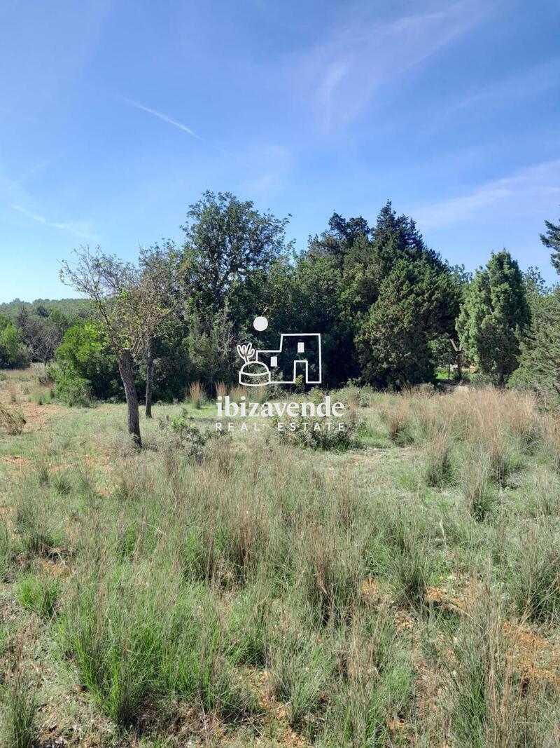 Herregård til salgs i Santa Eularia Des Riu, Ibiza
