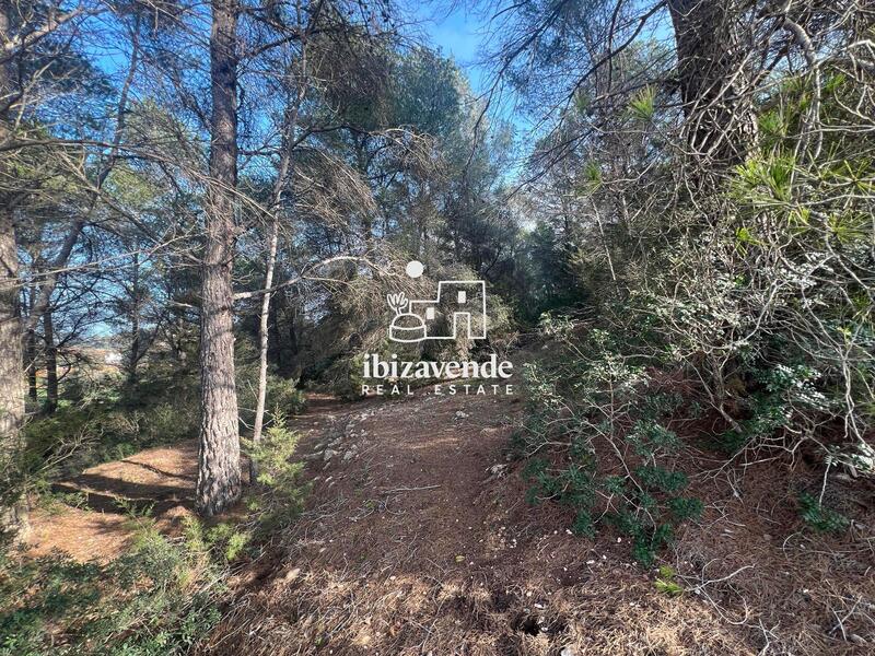 Country House for sale