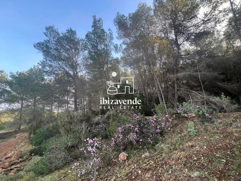 Country House for sale