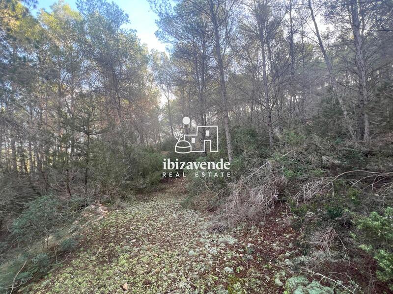 Country House for sale