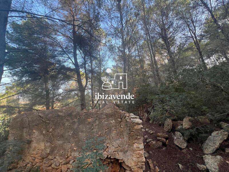 Country House for sale