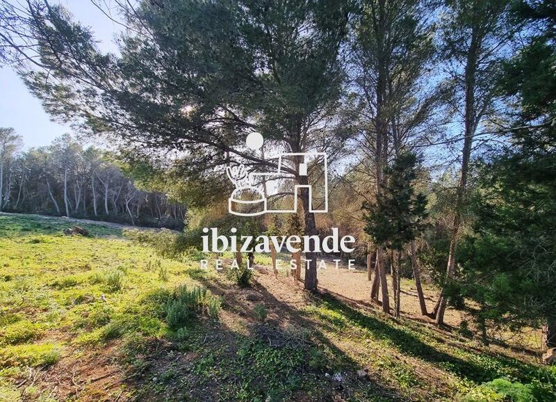 Auberge à vendre