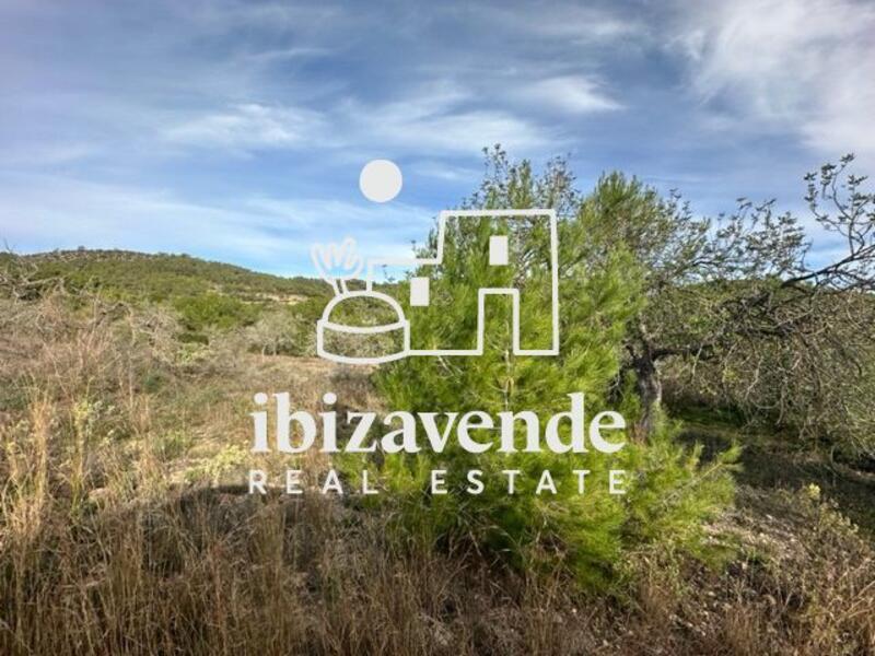 Country House for sale
